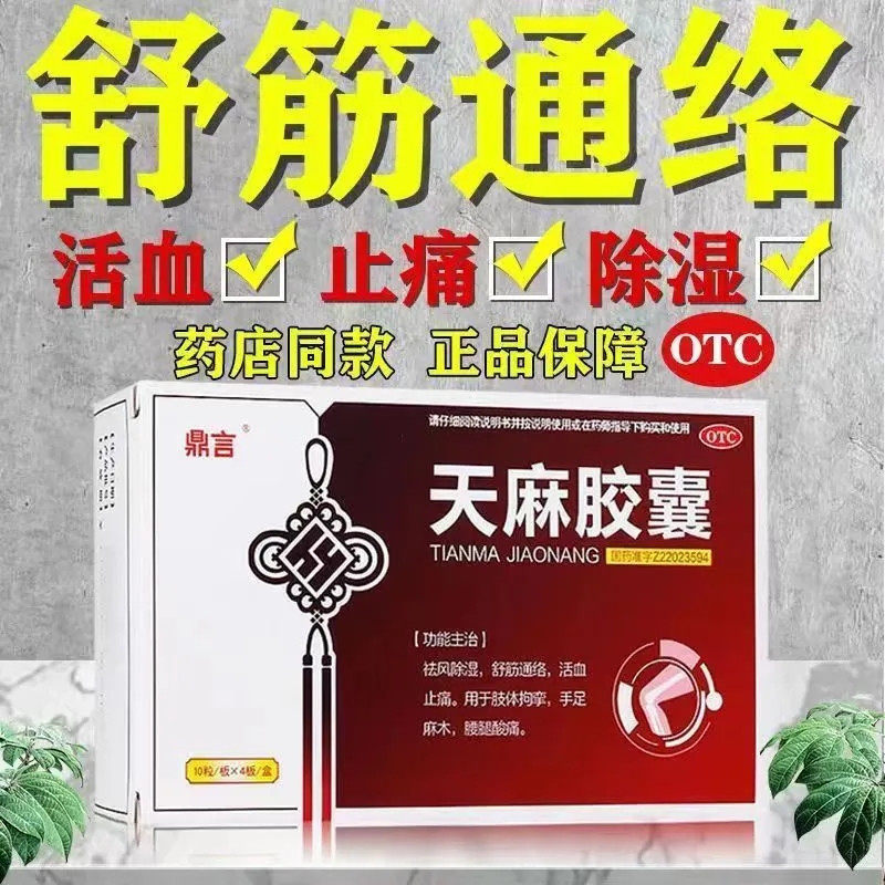 肢体拘挛 腰腿酸痛 舒筋通络 活血 祛风除湿 鼎言天麻胶囊40粒
