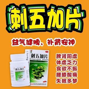 红绿灯刺五加片100片失眠多梦 腰膝酸痛 体倦体虚乏力 脾肺气虚