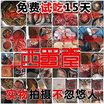 西蜀堂秘制手工画眉鸟食饲料提性打彩画眉鸟食提气疗伤画眉鸟饲料