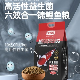 大拇指锦鲤金鱼通用鱼饲料色扬增肥上浮下沉不浑水颗粒沉底鱼粮