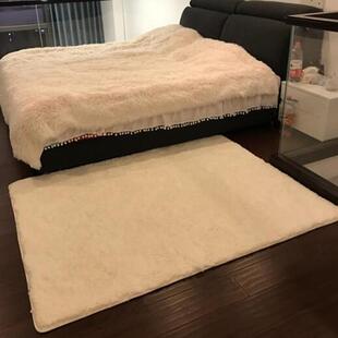 北欧ins风地毯卧室可睡可坐床边少女网红地垫现代轻奢客厅大面积