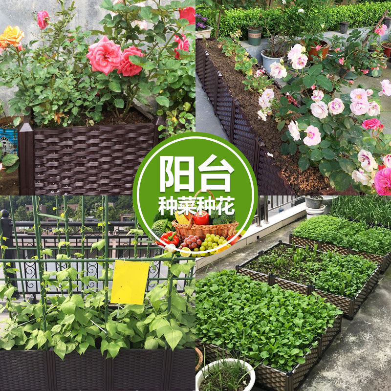 立体三层 家庭环保蔬菜种植箱室内外长方形大号阳台种菜盆花架