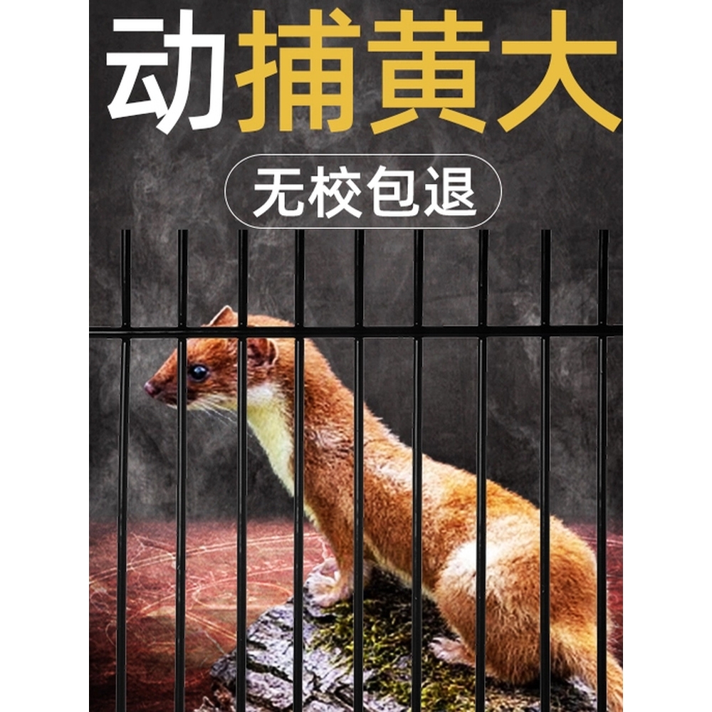 神器养鸡舍养殖场防黄鼠狼诱抓捕硫磺驱赶的克星不伤家畜
