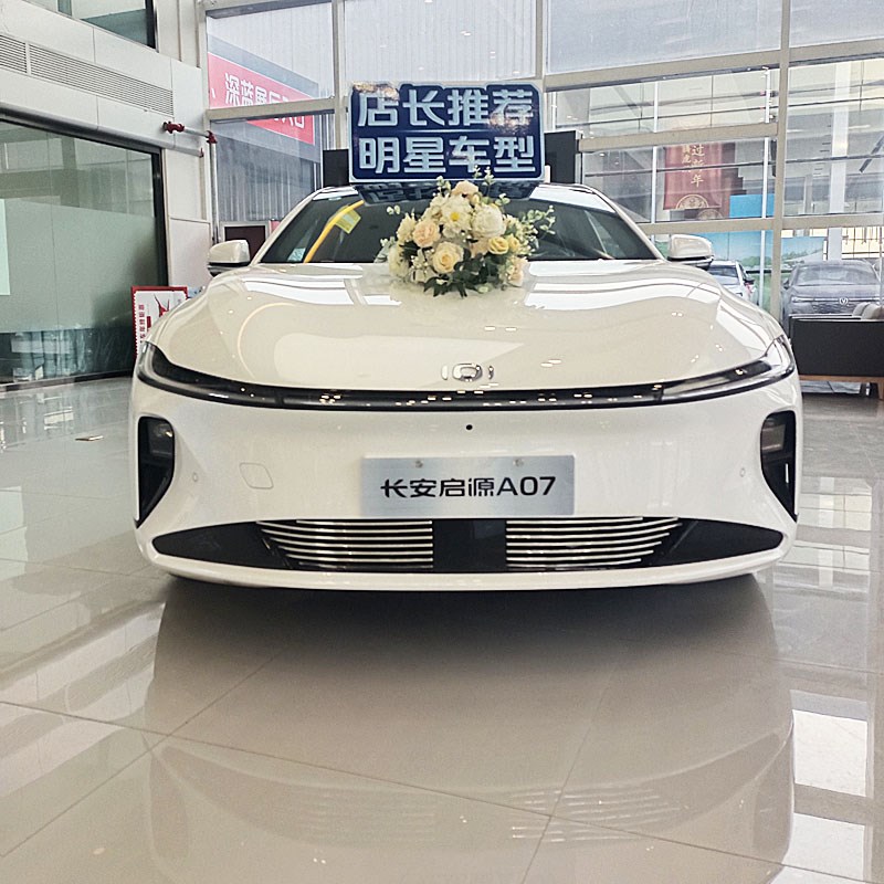 长安启源A07前脸改装件金属中网外观装饰水箱防虫网亮条配件