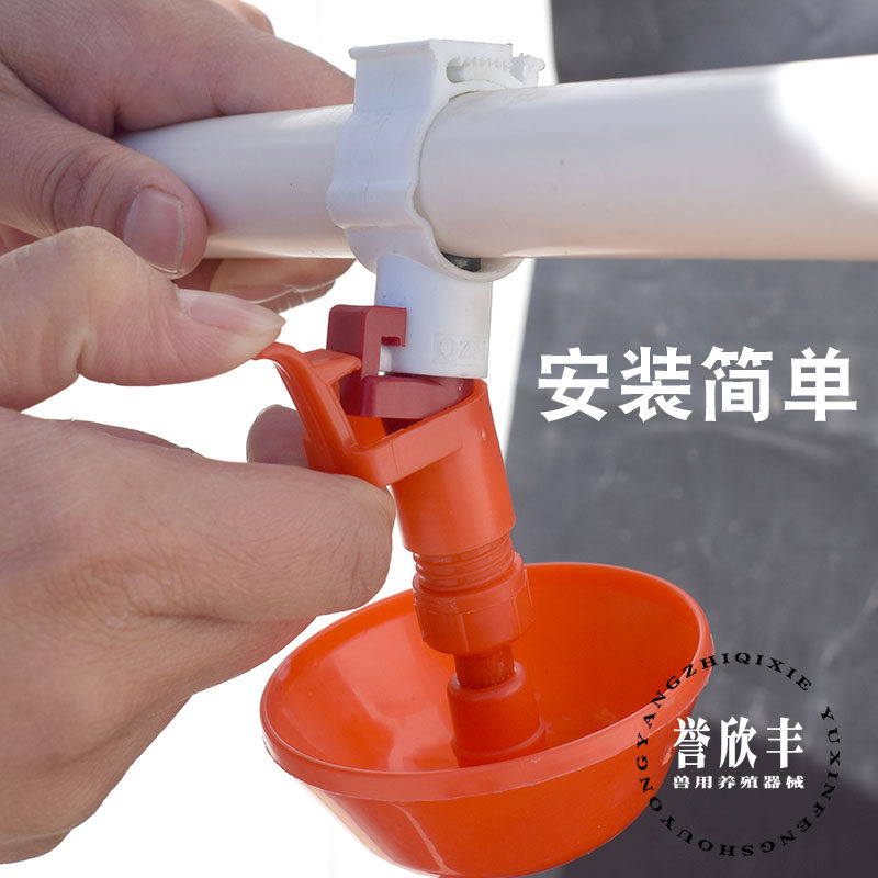 新型育雏水d碗 雏鸡自动饮水器乳头饮水碗 接水杯小鸡育雏水碗养