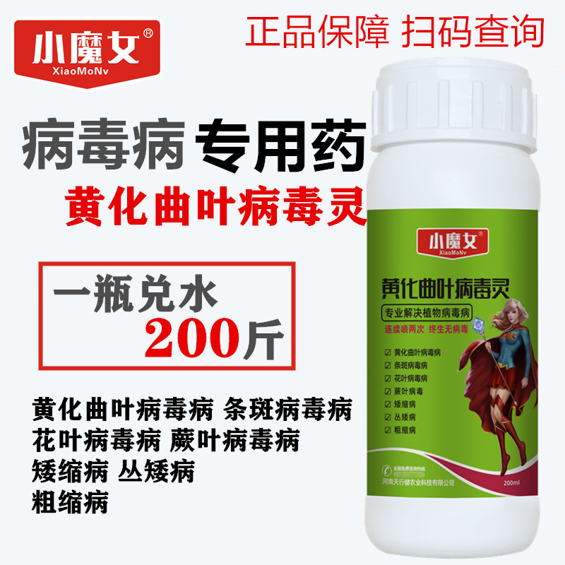 蔬菜番茄番茄葫芦辣椒黄u瓜百香果曲叶花叶病毒病灵专用叶面肥