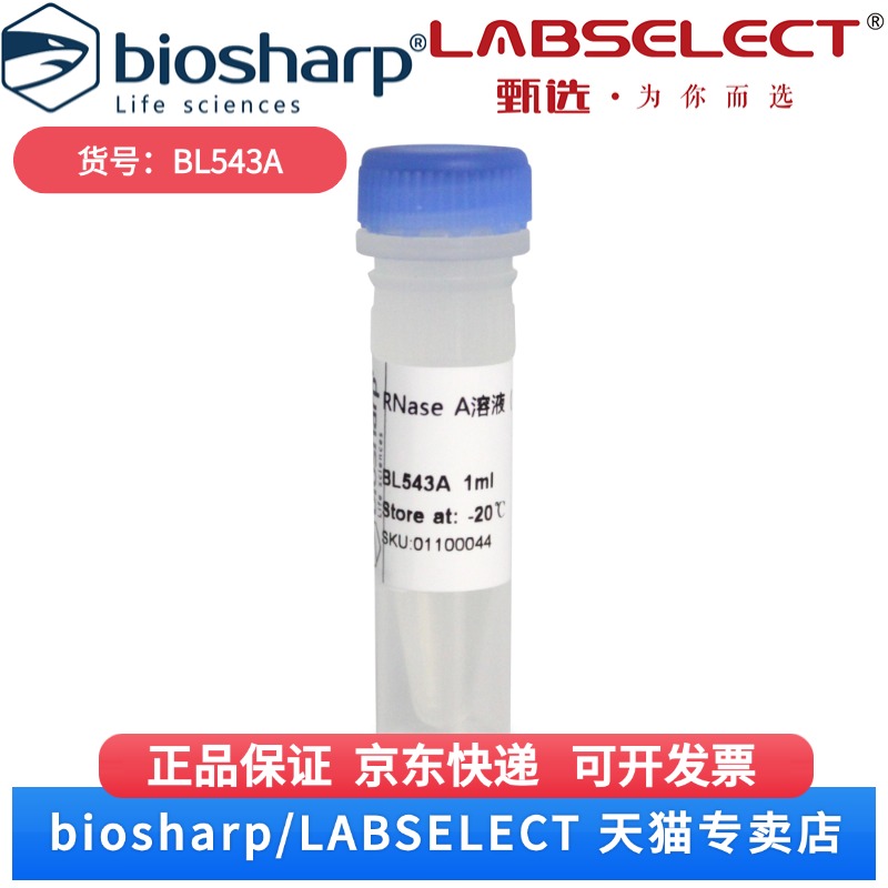 现货 RNase A溶液（核糖核酸酶 A,10mg/ml） BL543A 1ml Biosharp/白鲨 科研实验