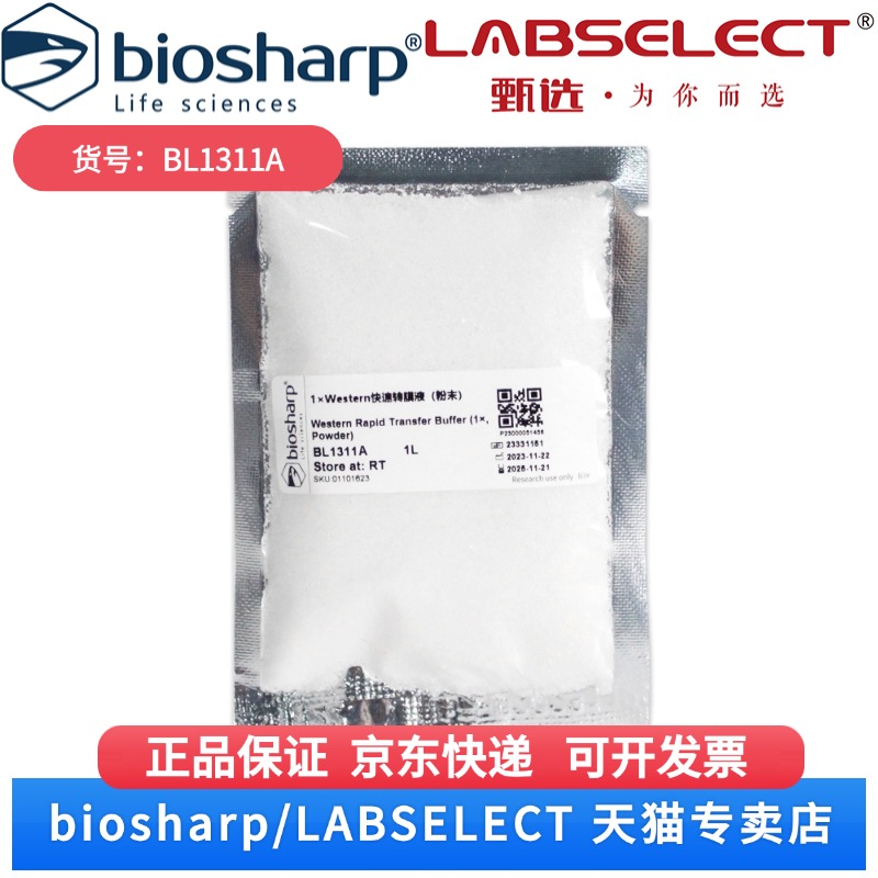 现货 1×Western快速转膜液(粉末) BL1311A 1L Biosharp/白鲨 科研实验
