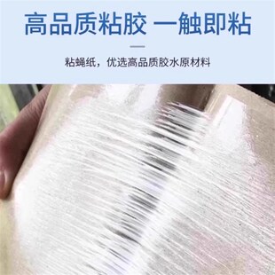 苍蝇贴强力粘苍蝇纸粘蝇板药沾蚊杀手捕捉器灭蝇子神器一扫光20