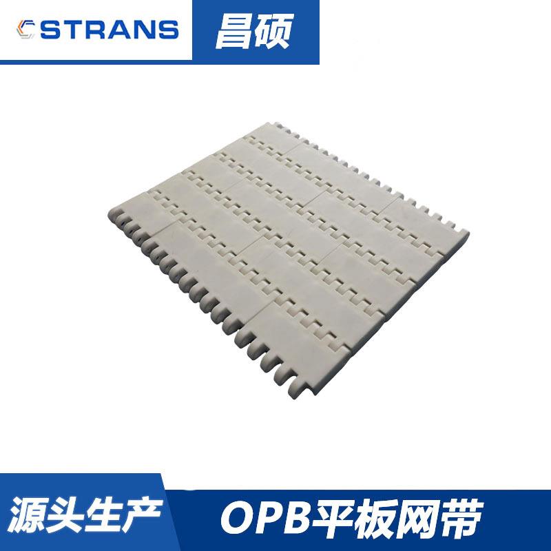 PP食品级耐酸碱OPB圆孔网带平板喷淋输送带食品输送网带POM耐磨