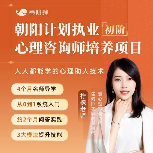 壹心理朝阳计划心理咨询师培训视频课程网课