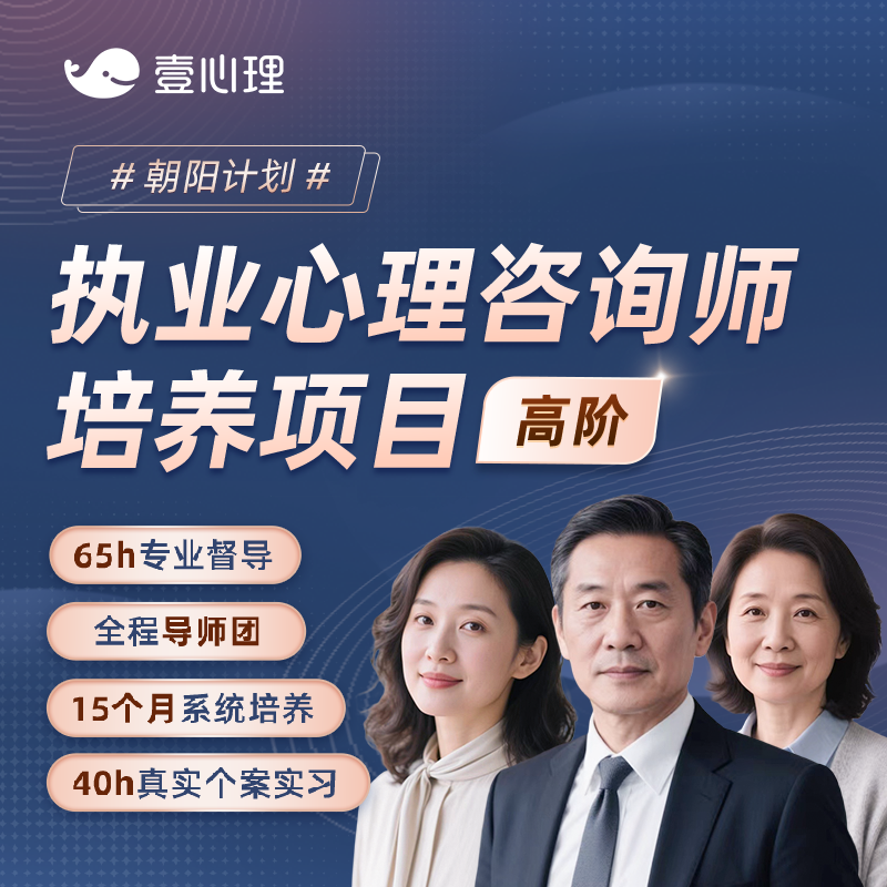 壹心理朝阳计划心理咨询师培训视频课程网课