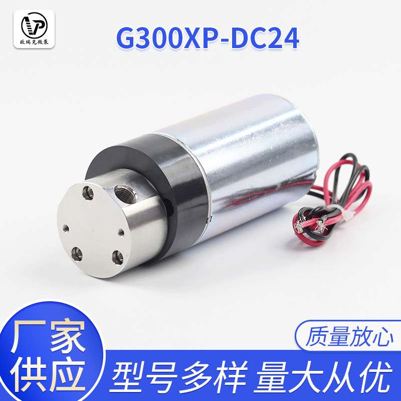 G308XP/DC24炒菜锅喷油果糖机食品级齿轮泵食品级材料G312XP/DC24