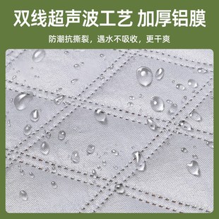 扉牧300x300超大加厚野餐垫春游垫子帐篷专用地垫草坪防潮特大号