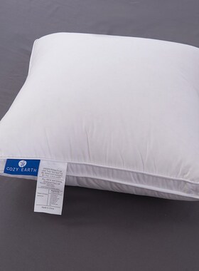 五星酒店羽绒靠垫抱枕芯40506070鹅绒腰卧室床上沙发大靠背垫方芯