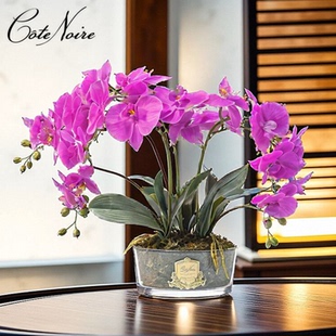 Noire法国蝴蝶兰无火香氛花香薰摆件 Cote 永生花仿真花礼物扩香