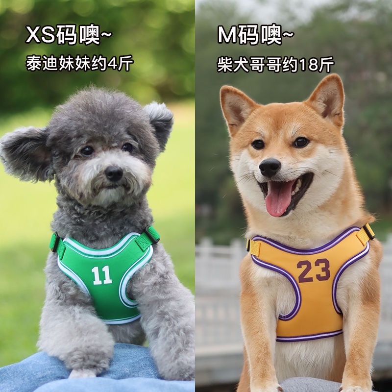 宠物狗狗泰迪柯基猫咪比熊牵引绳遛狗绳子中型小型犬胸背带牵狗链