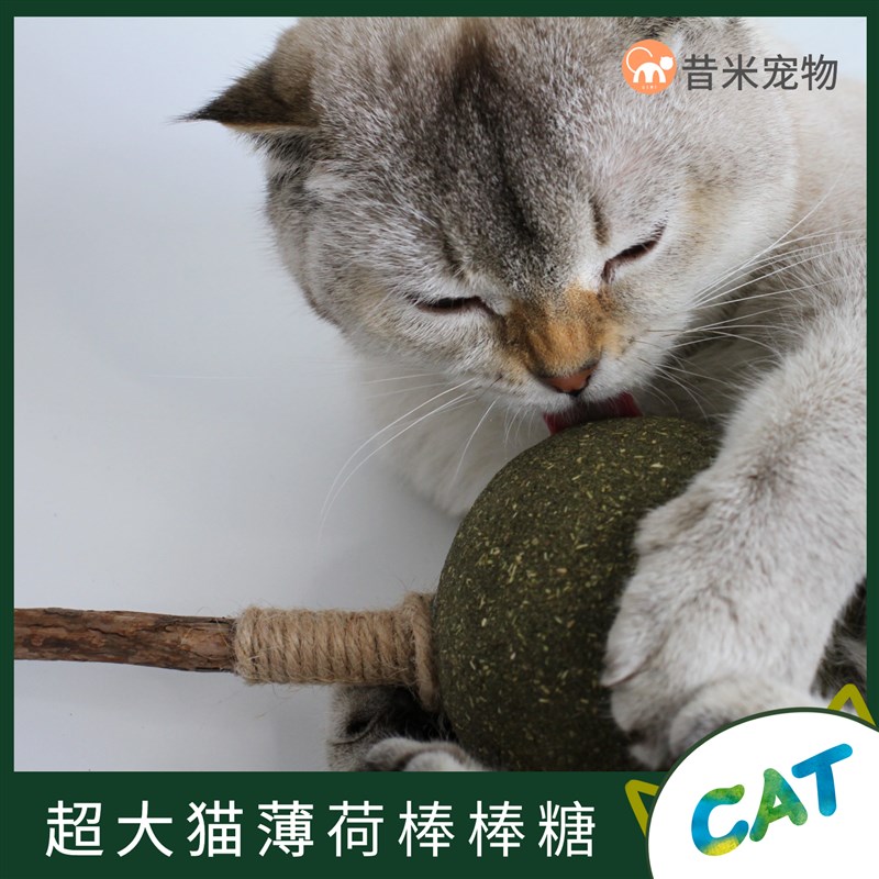 超大巨无霸高纯度猫薄荷棒棒糖玩具食用磨牙特级大号自嗨耐咬解闷