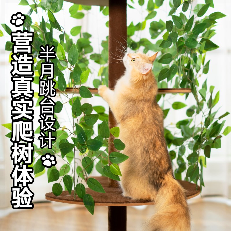 猫树猫爬架家用树干猫爬架多猫大猫专用靠墙猫爬架猫窝猫树一体