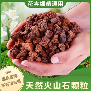 天然红火山石颗粒多肉兰花石料专用营养土植料火山铺面石拌土垫底
