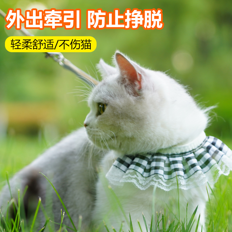 猫咪牵引绳防挣脱外出专用遛猫绳溜猫链子宠物胸背带猫绳子可调节