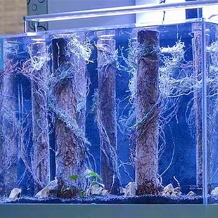 龙须根鱼缸雨林造景沉木装饰榕树根须藤蔓条模型植物情景地台枯藤