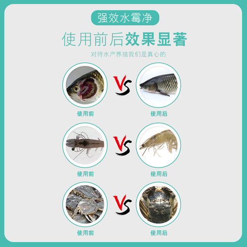 硫醚沙星水产养殖水霉病专治鱼药水霉清白毛病腐皮烂鳃乌龟水霉净