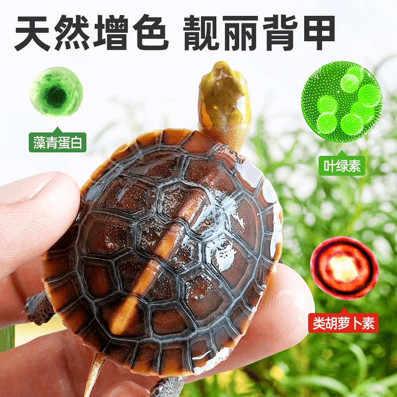 黄缘龟粮黄缘闭壳龟专用乌龟饲料盒龟台缘安缘龟饲料增色发色龟食