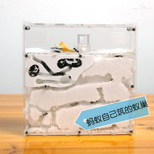 蚂蚁工坊适合各种蚂蚁城堡生态亚克力蚁巢蚁箱宠物产卵繁殖窝家园