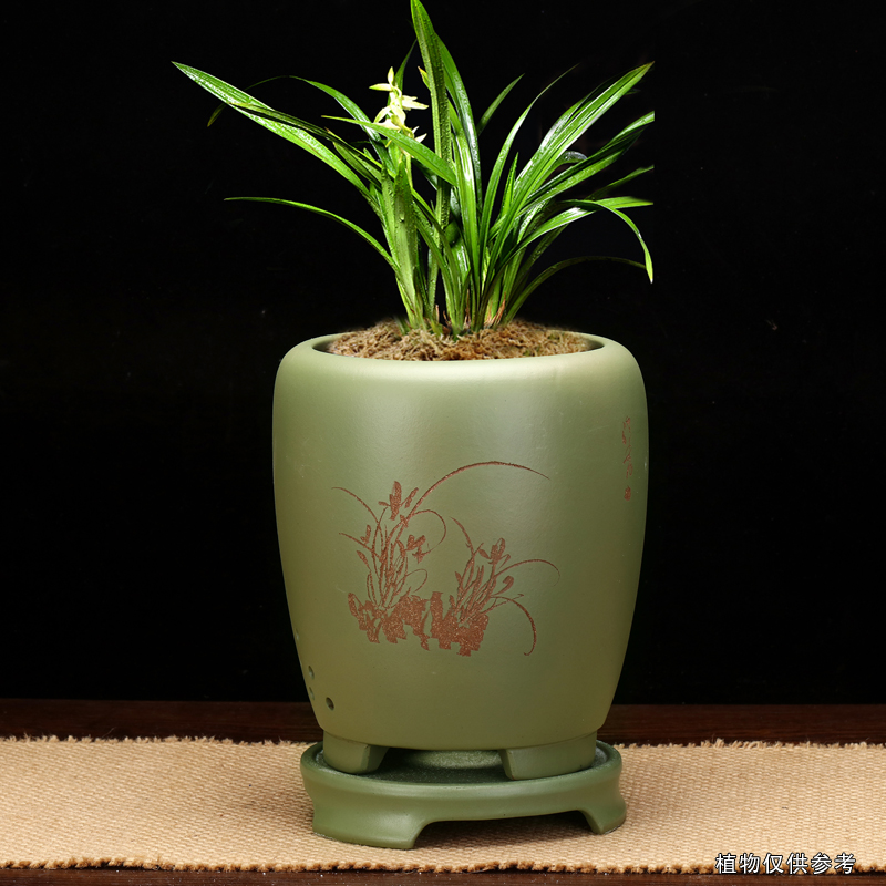 宜兴紫砂兰花盆专用带底座君子兰蕙春建兰圆形简约桌面盆景盆包邮