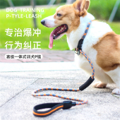 遛狗狗牵引绳套脖子防爆冲可调节狗炼子大中小型犬训狗P链拴狗绳
