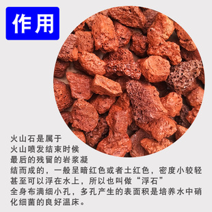 鱼缸过滤材料火山石滤材水族滤材罗汉鱼专用过滤器颗粒红原石底砂