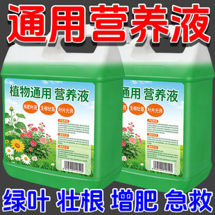 植物通用营养液土培水培发财树绿萝富贵竹盆栽室内外开花促绿肥料