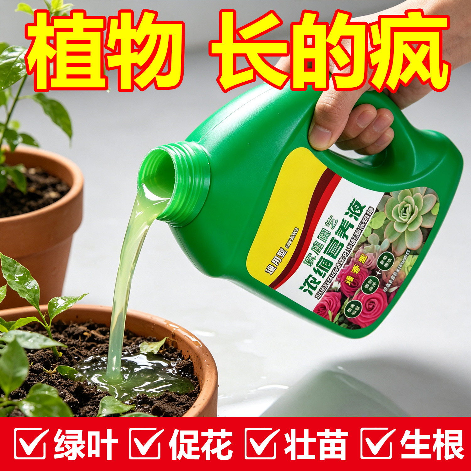 花卉绿植通用营养液生根促花