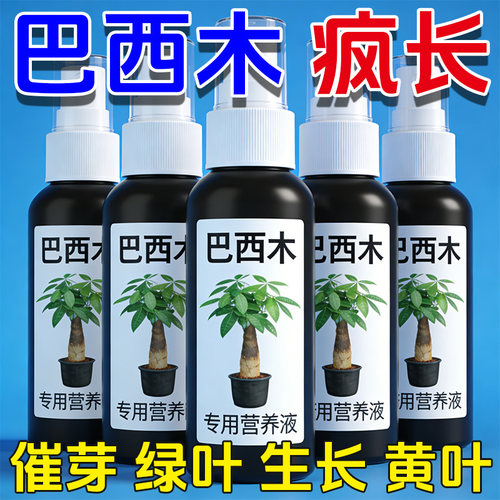 【一喷出芽】巴西木营养液促芽壮专治黄叶烂根家用免稀释液体肥