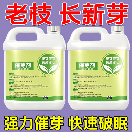 原装催芽剂拉尖素快速出芽催芽爆芽壮芽茶叶增厚嫩芽壮根园艺用品