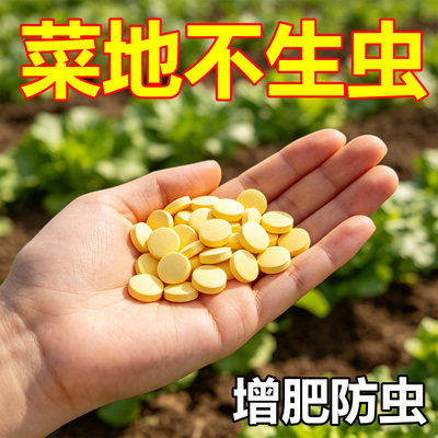 家庭园艺防虫片防小黑飞蚜虫白粉虱小菜蛾飞虫专用花卉绿植多肉