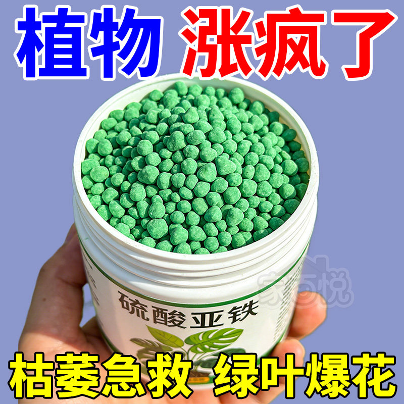 硫酸亚铁花肥料水溶肥磷酸二氢钾酸性花肥栀子花专用肥料琉酸亚铁