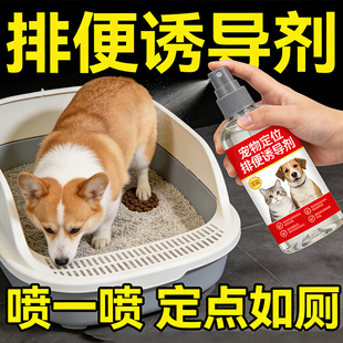 狗狗厕所诱导剂定点大小便排便尿尿拉屎引导剂训练诱便生活用品
