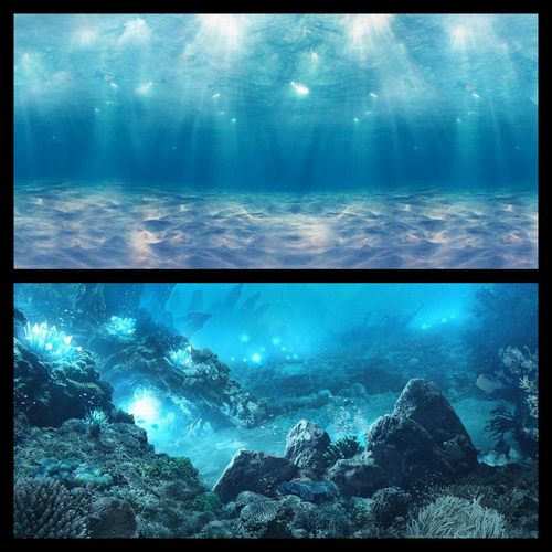 鱼缸背景贴纸高清图3D立体画海底世界挂画水族箱造景壁纸装饰画