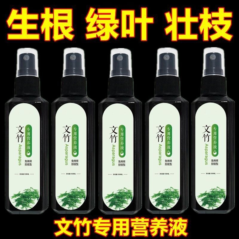 猛爆芽】新款文竹营养液专用肥催嫩芽促绿叶专治发黄干尖枯瘦烂根