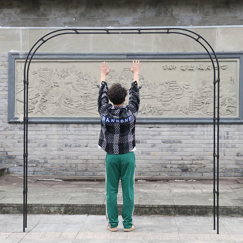 欧式拱门花架园艺拱形花支架爬藤架庭院花园门口支架走廊花支架