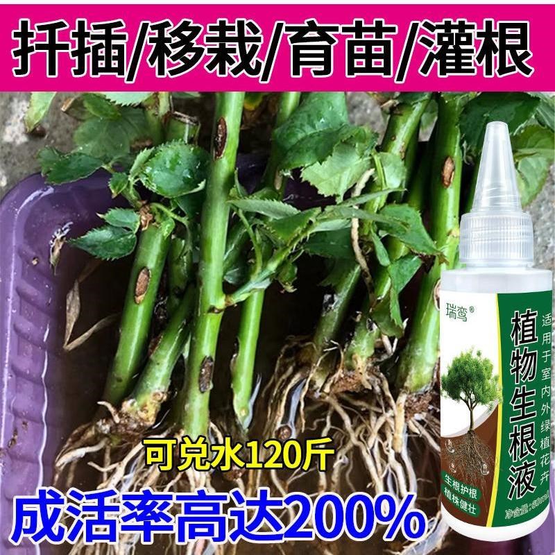 生根药水复活液枯树再生液【扦插神器】月季玫瑰生根剂生根壮苗剂