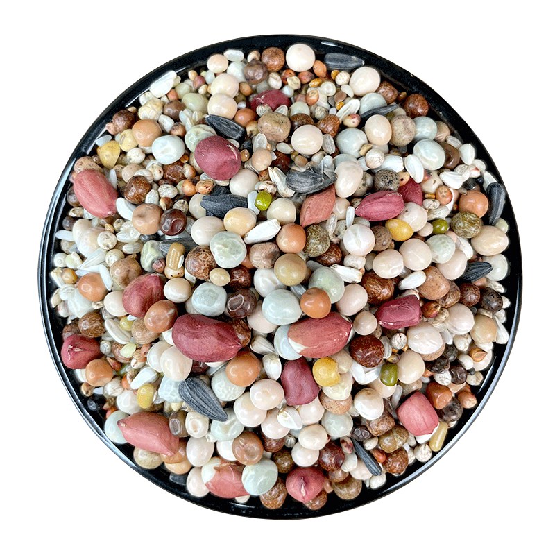 炫料鸽粮无玉米混合粮山东豌豆鸽子饲料观赏鸽信鸽鸟食大全