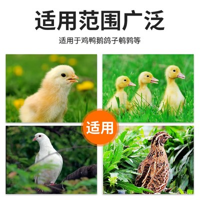 养鸡用自动饮水器鸡鸭鹅饮水碗喝水碗鹌鹑家禽鸟小鸡喂水神器养殖