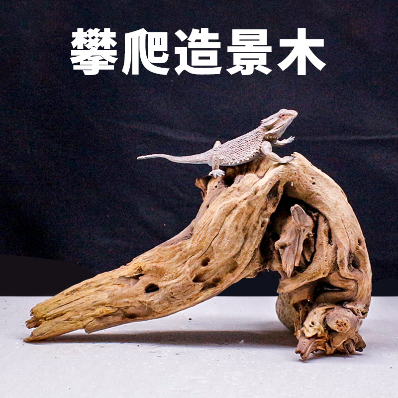鱼缸造景沉木紫柚木树景树根雨林缸木头守宫蛇爬宠攀爬木乌龟晒台