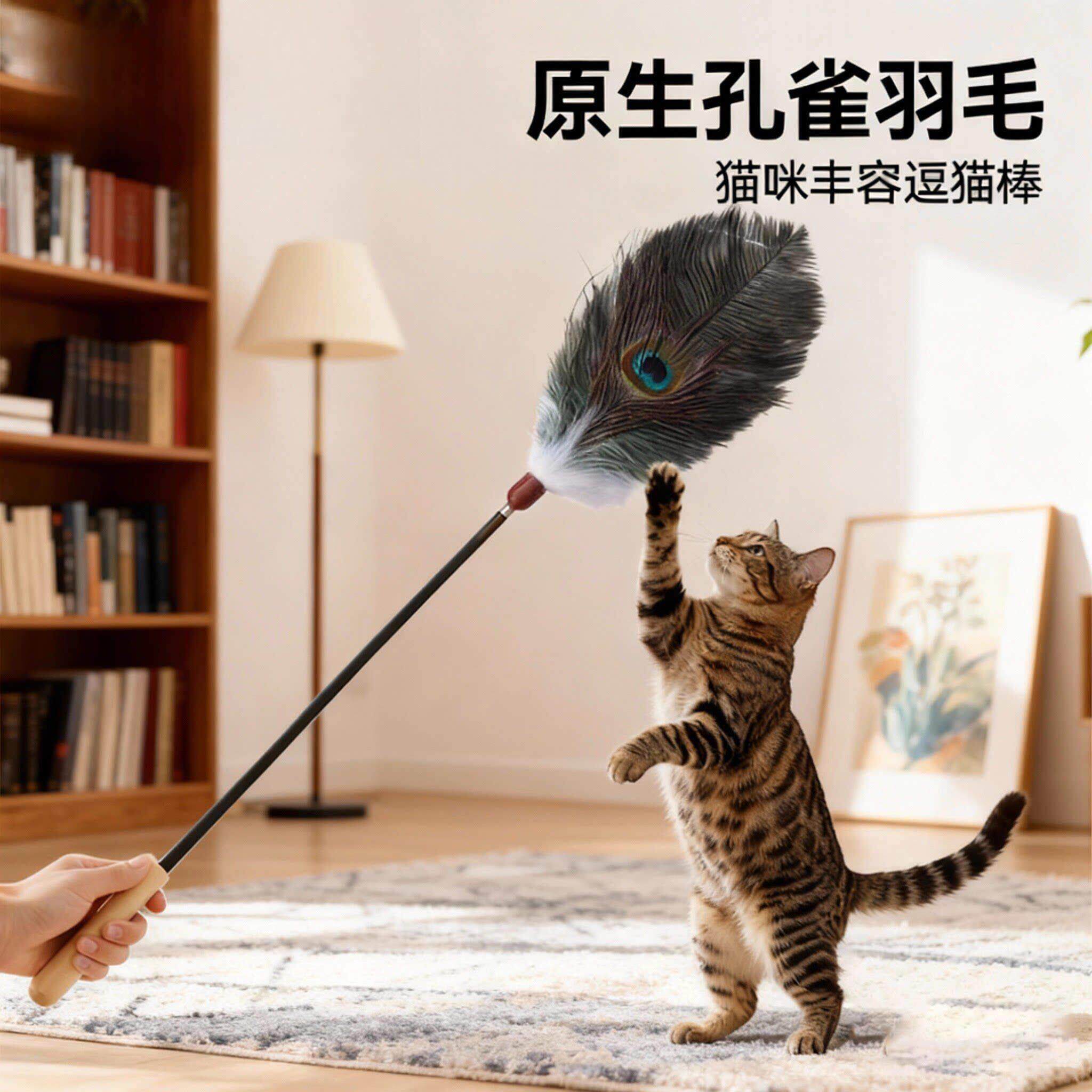 孔雀羽毛逗猫棒长杆猫咪消耗体力玩具动物原生气味丰容羽毛替换头