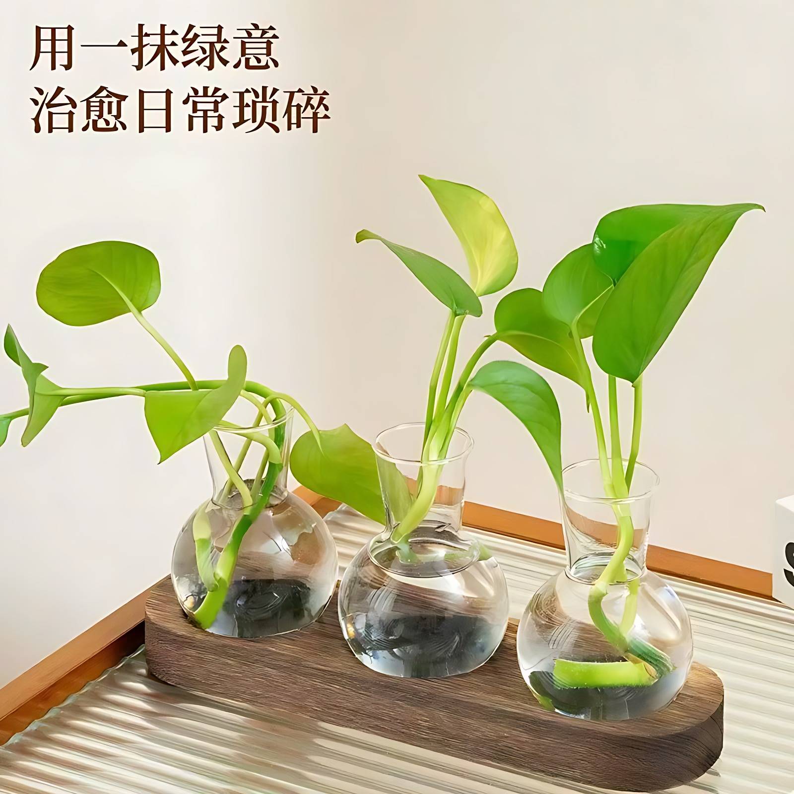 懒人水培绿萝专用透明玻璃花瓶