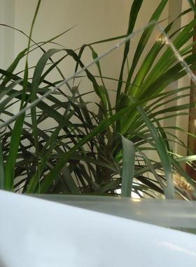 聚碳酸酯板3毫米3mmPC耐力板3mmPC板高端透明板3mm耐力板