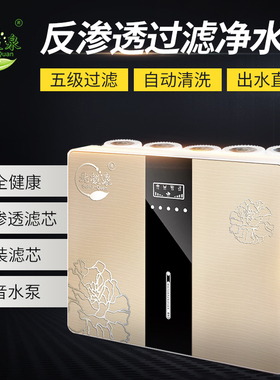 十年北极泉75G自吸净水器家用直饮自来水过滤厨房纯水机台式RO机